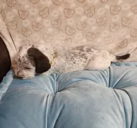 processed/e22f458a-95fc-451e-9acc-ca5d6b9ba9a6/listing/a2428160-7ece-4ff5-b880-4a852dfa9d0d/1dd5b8fa-47a2-41c5-a61f-d077e5cfd7df