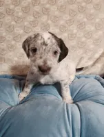 processed/e22f458a-95fc-451e-9acc-ca5d6b9ba9a6/listing/a2428160-7ece-4ff5-b880-4a852dfa9d0d/1e47721b-a80c-44a0-b36d-0896fc8b4a09