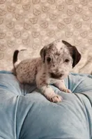 processed/e22f458a-95fc-451e-9acc-ca5d6b9ba9a6/listing/a2428160-7ece-4ff5-b880-4a852dfa9d0d/64d60523-514e-4bc6-b778-9112f315039e