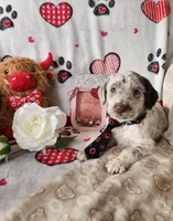 processed/e22f458a-95fc-451e-9acc-ca5d6b9ba9a6/listing/a2428160-7ece-4ff5-b880-4a852dfa9d0d/65b8ef67-dcad-4a83-a15b-1d51568a5e68