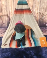 Puppy #3, a female Labradoodle for sale in Toccoa, GA – 1 of 6