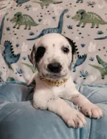 processed/e22f458a-95fc-451e-9acc-ca5d6b9ba9a6/listing/ab661400-c7ae-427d-8415-80469c8a3db7/c94bb29c-d929-4bb0-934e-576ef3cec8e1