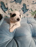 processed/e22f458a-95fc-451e-9acc-ca5d6b9ba9a6/listing/ab661400-c7ae-427d-8415-80469c8a3db7/d53c7583-78e1-4731-bfa7-51eb30a5f108