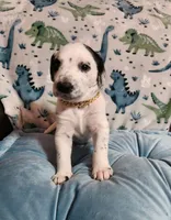 processed/e22f458a-95fc-451e-9acc-ca5d6b9ba9a6/listing/ab661400-c7ae-427d-8415-80469c8a3db7/d986d170-3d8f-4288-a48b-fe684144b0a0