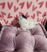 processed/e22f458a-95fc-451e-9acc-ca5d6b9ba9a6/listing/e34fc02d-d071-42d0-a189-0da87b6f726a/012f26c7-79e9-4498-826f-0b1770593a9a