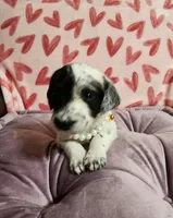 processed/e22f458a-95fc-451e-9acc-ca5d6b9ba9a6/listing/e34fc02d-d071-42d0-a189-0da87b6f726a/53a11a11-3a67-49e9-bb2b-064511868f7c