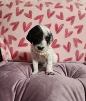 processed/e22f458a-95fc-451e-9acc-ca5d6b9ba9a6/listing/e34fc02d-d071-42d0-a189-0da87b6f726a/620a5c90-90a2-476e-b478-de0e4b7fc8ca