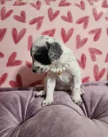 processed/e22f458a-95fc-451e-9acc-ca5d6b9ba9a6/listing/e34fc02d-d071-42d0-a189-0da87b6f726a/65820a5f-fa0e-4151-aa31-a8f11a62c554