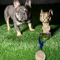 processed/e23315bc-6a1a-496f-9b53-8f7c2c5cab73/facility/6012ae9b-9874-4b41-9de6-7b3606b75dd1