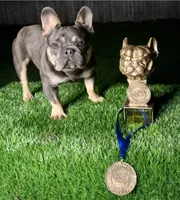 processed/e23315bc-6a1a-496f-9b53-8f7c2c5cab73/facility/6012ae9b-9874-4b41-9de6-7b3606b75dd1