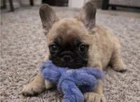 processed/e23315bc-6a1a-496f-9b53-8f7c2c5cab73/listing/ad8a03cc-e7db-4ef6-bdaf-1fe8ddfc29e0/ae07e7ed-05ca-42ee-88e4-6c10f6e68d27