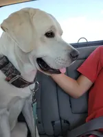 processed/e2334970-acd2-452b-874d-78917621ec9e/facility/b38c6084-7524-485f-847b-3fa25c84c244