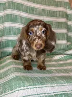 processed/e23ccc1d-23a0-4699-a003-305faa1df47c/facility/08147c79-a2a5-4259-830a-52b2b124c4ad