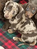 processed/e23ccc1d-23a0-4699-a003-305faa1df47c/facility/7d70970b-58b3-4334-b636-efb9716b370b