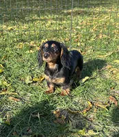 processed/e23ccc1d-23a0-4699-a003-305faa1df47c/facility/7efe6c24-de15-48be-9cd4-b7061d96f723