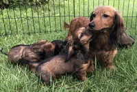 processed/e23ccc1d-23a0-4699-a003-305faa1df47c/facility/f728b63e-6a6a-4e0d-bc2e-1abef8ebb395