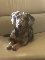 processed/e23ccc1d-23a0-4699-a003-305faa1df47c/facility/fed4802c-1747-436c-ab74-d6964b6e64ad