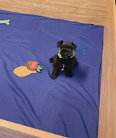 Skippy, a male Miniature Schnauzer for sale in Bay Minette, AL – Photo 2 of 3