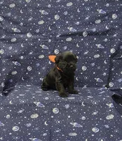 processed/e242aea3-1b6d-417d-bff9-c7ac6dfec5c3/listing/4a5b7999-3427-45f7-9805-88175053b83b/64c9d8dc-3726-4e6c-aa10-9503aaf4cdd2