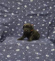 processed/e242aea3-1b6d-417d-bff9-c7ac6dfec5c3/listing/4a5b7999-3427-45f7-9805-88175053b83b/83bf1b40-7281-4121-918a-2d3eee140d0f