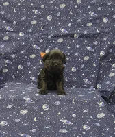 processed/e242aea3-1b6d-417d-bff9-c7ac6dfec5c3/listing/4a5b7999-3427-45f7-9805-88175053b83b/f6516c0c-8de6-4da3-9ac9-b65ea00a656d