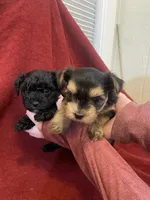 processed/e2430427-5c14-40df-b930-cee51354ed22/listing/1f82493e-f3d5-4dfb-b895-244b5c133c52/4b1070ba-d3a5-4e4b-ad19-556068337cdb