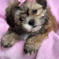 processed/e243b820-d893-4b13-879e-3937fe9ebe6a/facility/6c78fec4-5420-4fe9-900f-6824d1f50bde