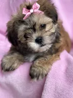 processed/e243b820-d893-4b13-879e-3937fe9ebe6a/facility/6c78fec4-5420-4fe9-900f-6824d1f50bde