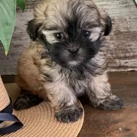 processed/e243b820-d893-4b13-879e-3937fe9ebe6a/facility/9f48fef1-a7e3-4494-9a29-a4eea05d67ee