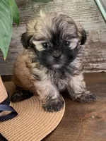 processed/e243b820-d893-4b13-879e-3937fe9ebe6a/facility/9f48fef1-a7e3-4494-9a29-a4eea05d67ee