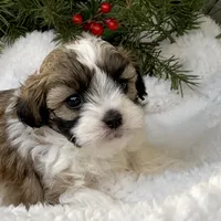 processed/e243b820-d893-4b13-879e-3937fe9ebe6a/facility/a25d3d89-3a7b-4126-8569-79f9f7d63c11