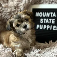 processed/e243b820-d893-4b13-879e-3937fe9ebe6a/facility/afc43083-f19c-47f0-a277-5f8d8e8cb775