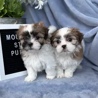 processed/e243b820-d893-4b13-879e-3937fe9ebe6a/facility/c378eb01-908c-4050-8ecd-10c85e1911f6