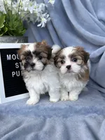 processed/e243b820-d893-4b13-879e-3937fe9ebe6a/facility/c378eb01-908c-4050-8ecd-10c85e1911f6