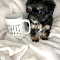 processed/e243b820-d893-4b13-879e-3937fe9ebe6a/facility/d2d648ff-82d4-4ae4-88d0-9fe054dfa25c