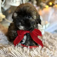 processed/e243b820-d893-4b13-879e-3937fe9ebe6a/facility/dffe3f99-8d16-4445-b01d-33db0fc83e8c