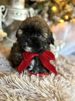 processed/e243b820-d893-4b13-879e-3937fe9ebe6a/facility/dffe3f99-8d16-4445-b01d-33db0fc83e8c