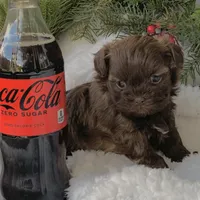 processed/e243b820-d893-4b13-879e-3937fe9ebe6a/facility/e76c3c22-7134-4ac9-a9b9-58d00856b729