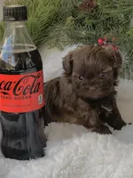 processed/e243b820-d893-4b13-879e-3937fe9ebe6a/facility/e76c3c22-7134-4ac9-a9b9-58d00856b729