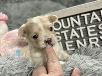 processed/e243b820-d893-4b13-879e-3937fe9ebe6a/listing/01c26b8b-ebae-4c79-b036-273c6a5fafd2/2fd9d2b1-bbf2-4fca-80b9-82abc088b611