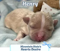 processed/e243b820-d893-4b13-879e-3937fe9ebe6a/listing/01c26b8b-ebae-4c79-b036-273c6a5fafd2/9d920e21-c1c6-4840-82af-e75b8af44253