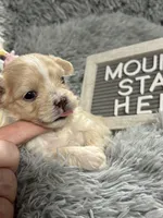 processed/e243b820-d893-4b13-879e-3937fe9ebe6a/listing/01c26b8b-ebae-4c79-b036-273c6a5fafd2/b4006c28-d4db-4412-8dbd-e42768cbb7fa