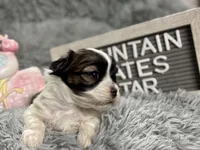 processed/e243b820-d893-4b13-879e-3937fe9ebe6a/listing/2445722c-218a-404f-ba07-6f479c81a7da/3c1b13c1-5d07-4d3d-b0c9-f738c877f400