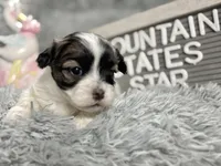 processed/e243b820-d893-4b13-879e-3937fe9ebe6a/listing/2445722c-218a-404f-ba07-6f479c81a7da/c39b44ed-48c7-498e-962e-19fdc49de55d