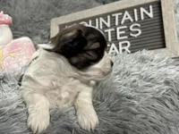 processed/e243b820-d893-4b13-879e-3937fe9ebe6a/listing/2445722c-218a-404f-ba07-6f479c81a7da/f4b8e82a-6d42-4330-af8e-c1c00860d1b0