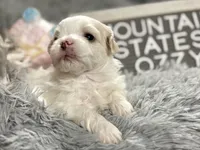 processed/e243b820-d893-4b13-879e-3937fe9ebe6a/listing/a905379a-4dac-4236-9d8f-026503c7664c/7e4c18bf-3245-4d34-9871-a395ff38019f