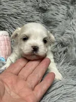 processed/e243b820-d893-4b13-879e-3937fe9ebe6a/listing/a905379a-4dac-4236-9d8f-026503c7664c/9e42f30c-eb92-471b-94b1-be752e056639