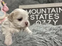 processed/e243b820-d893-4b13-879e-3937fe9ebe6a/listing/a905379a-4dac-4236-9d8f-026503c7664c/f08c4343-644b-4acb-9aa7-7b03c559b72d