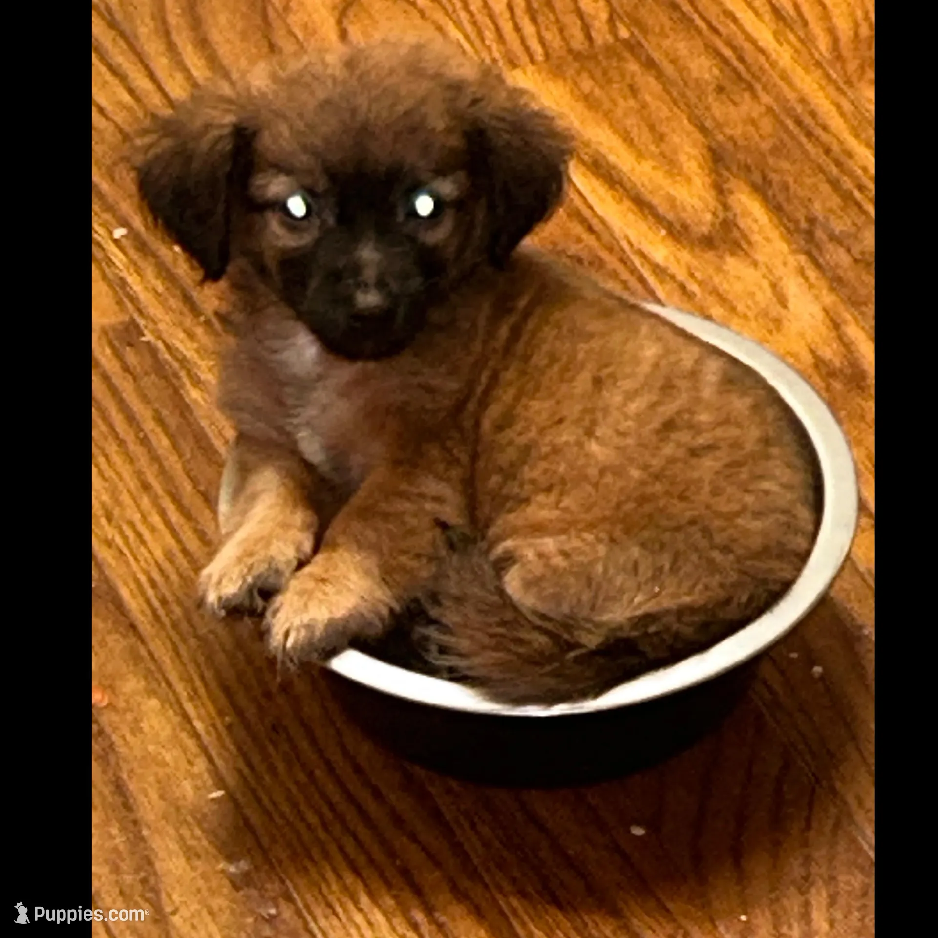 processed/e245f718-8e27-4789-ad4c-0ccb34223af9/facility/1091adfc-db09-4c07-8c85-461db99c9236