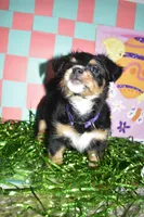 processed/e245f718-8e27-4789-ad4c-0ccb34223af9/facility/1639d020-ccba-461e-8cf9-e575b70c78d9